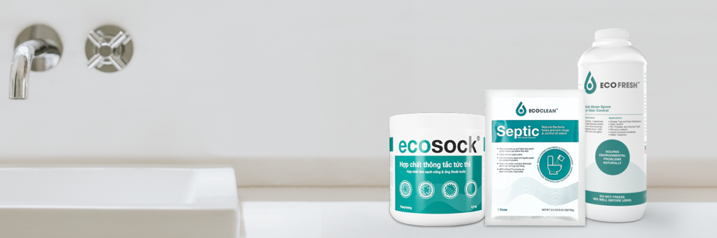 Combo EcoSock Drain 疏通粉，EcoClean FOG 微生物学