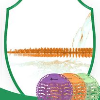 Lưới Khử Mùi Bồn Tiểu Nam, Ống Cống – Wave Fresher USA