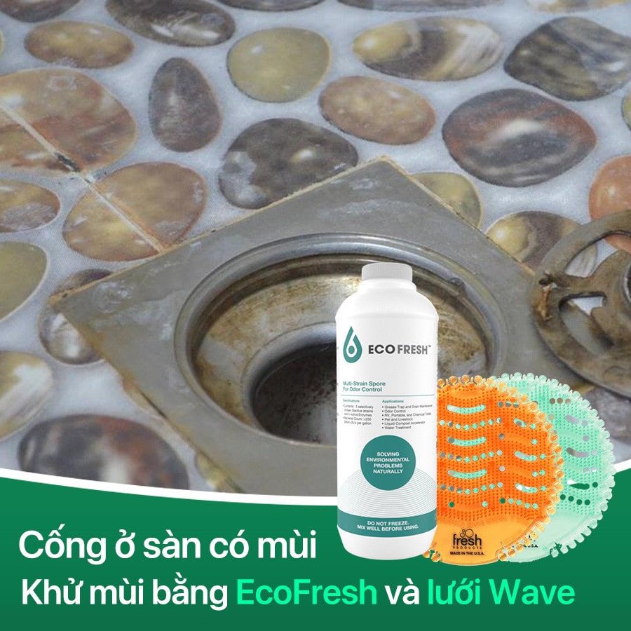 Vi Sinh Khử Mùi Nhà Vệ Sinh EcoFresh (1L)