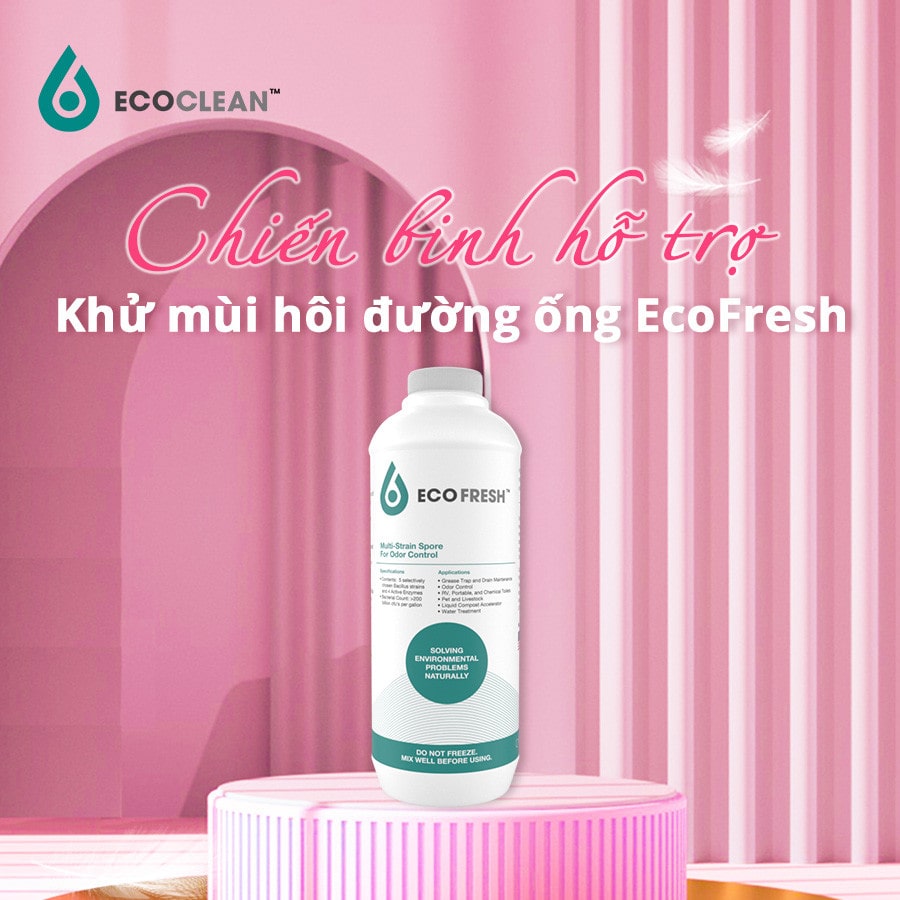 Vi Sinh Khử Mùi Nhà Vệ Sinh EcoFresh (1L)