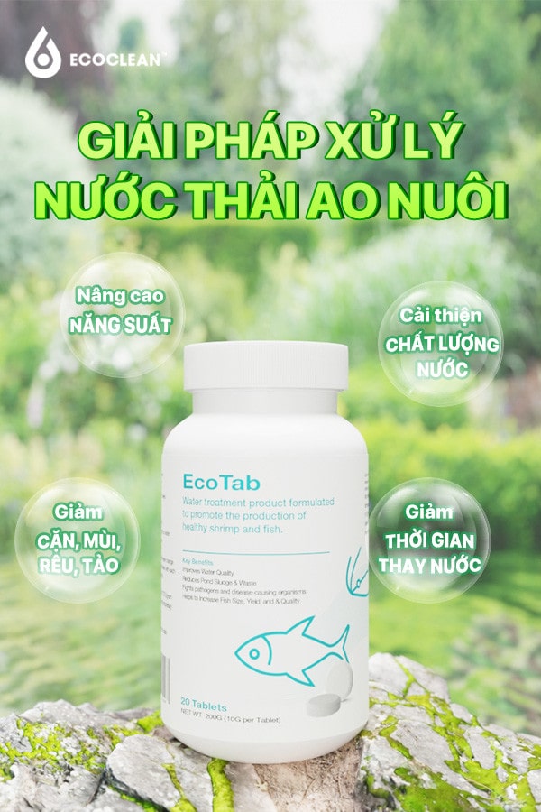 Vi Sinh Eco Tab – Xử Lý Bùn Đáy Ao Nuôi