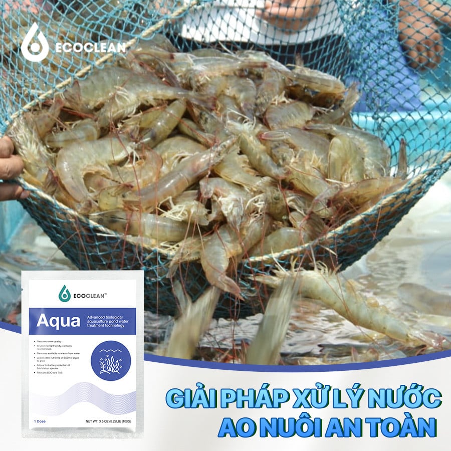 EcoClean Aqua – Vi Sinh Xử Lý Tảo Và Làm Sạch Ao Nuôi
