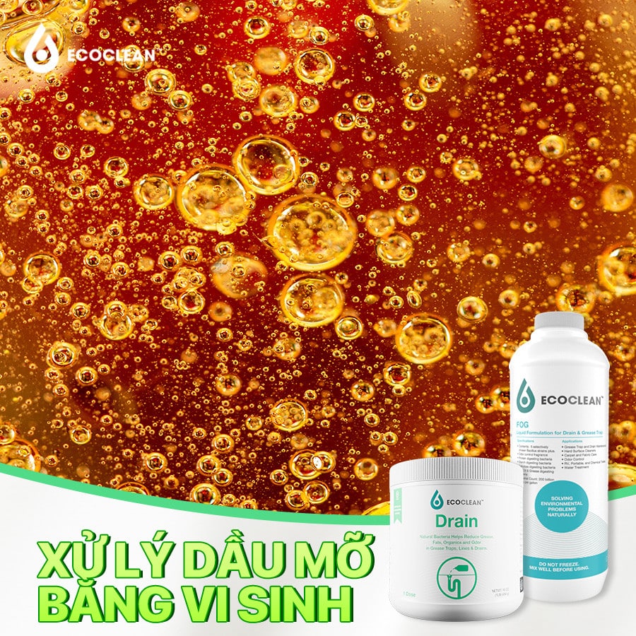 Vi Sinh Ăn Mỡ, Thông Tắc & Bảo Trì Đường Ống – EcoClean Drain