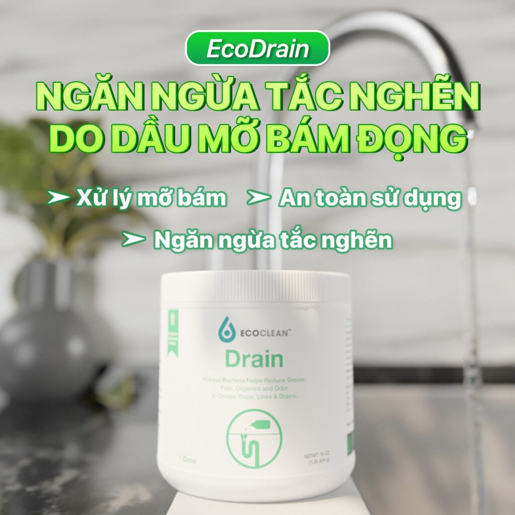 Vi Sinh Ăn Mỡ, Thông Tắc & Bảo Trì Đường Ống – EcoClean Drain