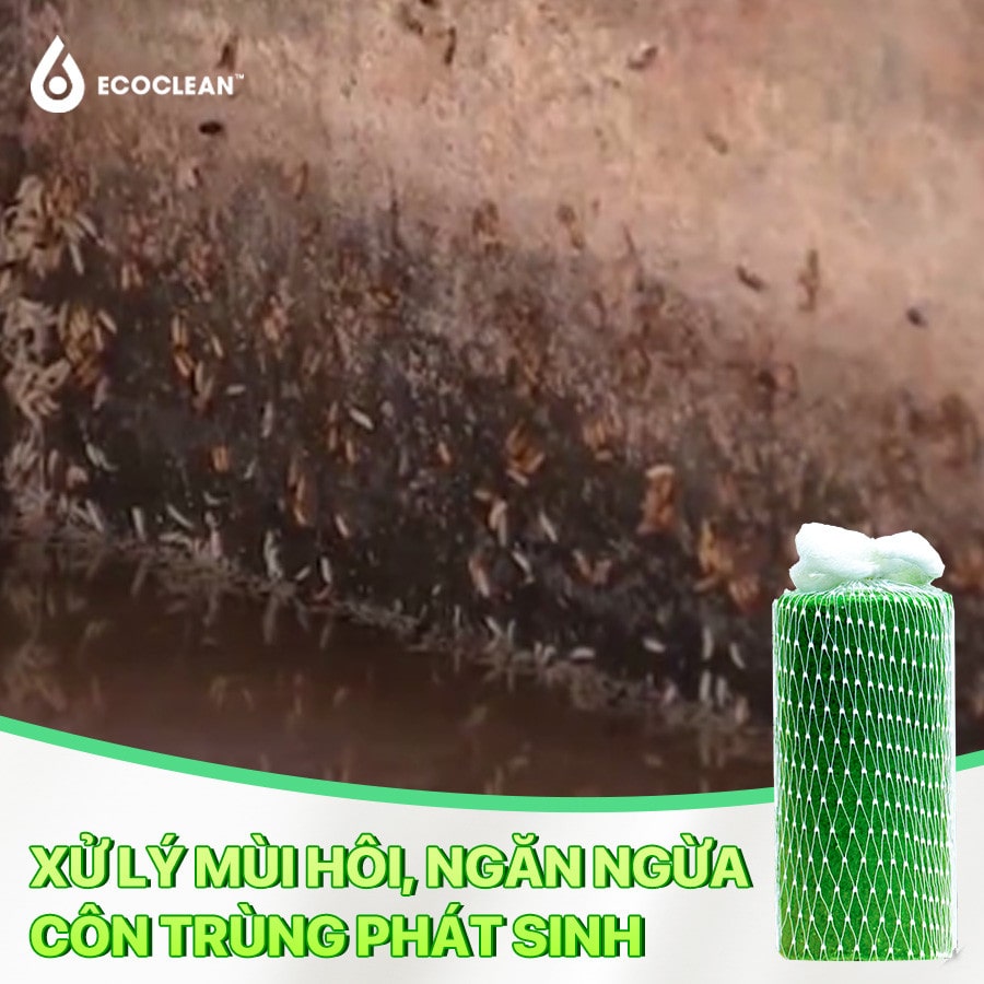 Vi Sinh Ăn Mỡ EcoRope (Dạng Khối) – Dùng Trong Bể Mỡ, Hố Thu