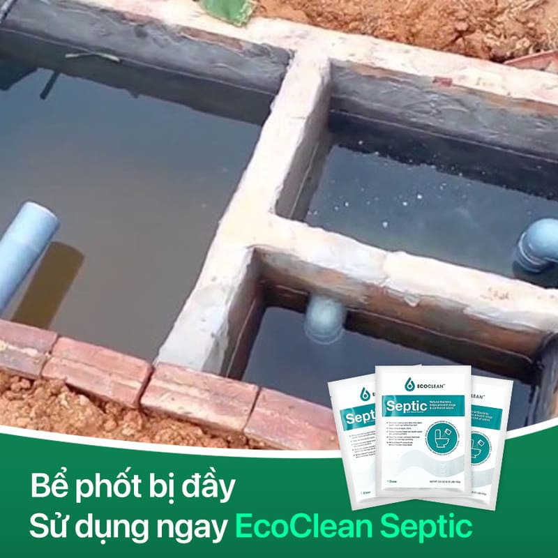 Bể phốt bị đầy