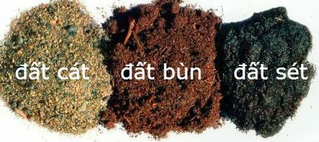 dat-cat-lot-vao-duong-ong