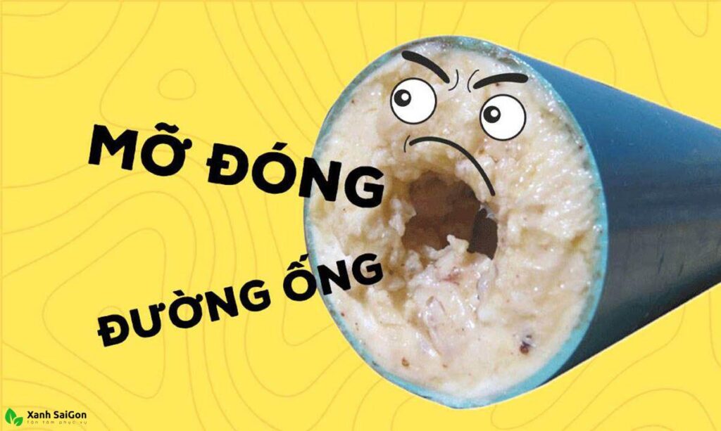 Những điều lưu ý khi sử dụng các sản phẩm vi sinh nói chung