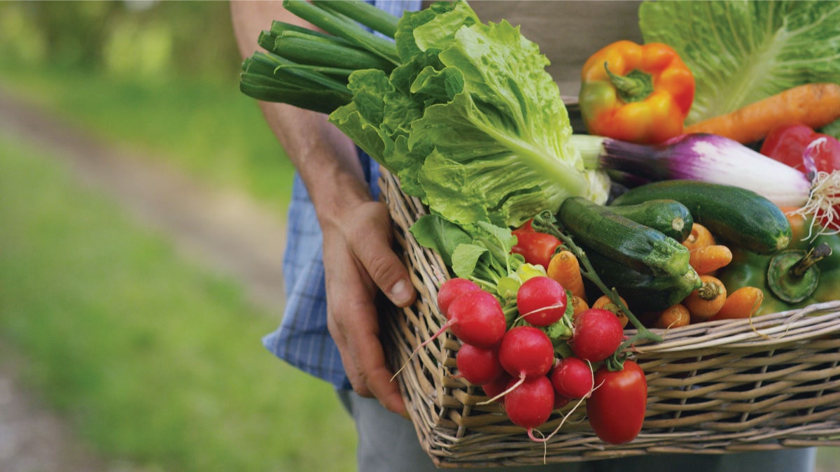 Nước Rửa Rau Quả Dành Cho Tín Đồ Whole Food