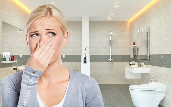 Cách Khử Mùi Khai Nhà Vệ Sinh Nhanh Chóng Và Tiết Kiệm 