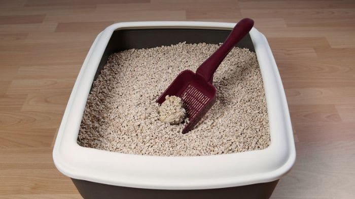 dung-cat-meo-ve-sinh (1)