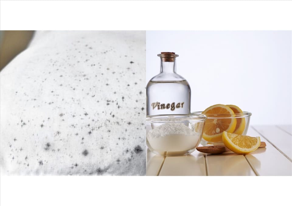 dung-dich-tay-nam-moc-bang-chanh