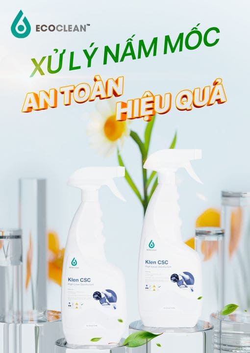 dung-dich-tay-nam-moc-tren-tuong-klen-csc