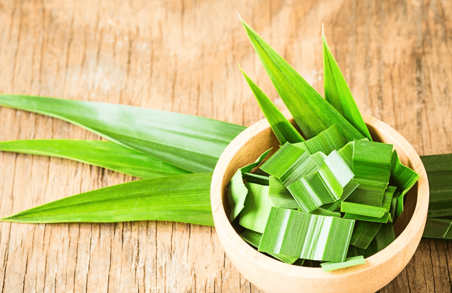 Sử Dụng Lá Dứa Khử Mùi Xe Hơi Liệu Có Hiệu Quả?