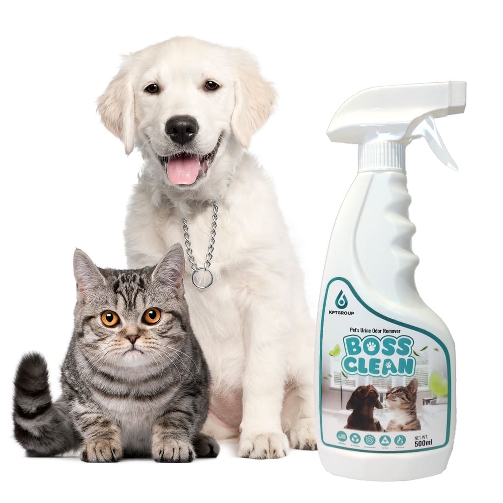 Top Loại Nước Lau Sàn Khử Mùi Chó Mèo Được Ưa Chuộng