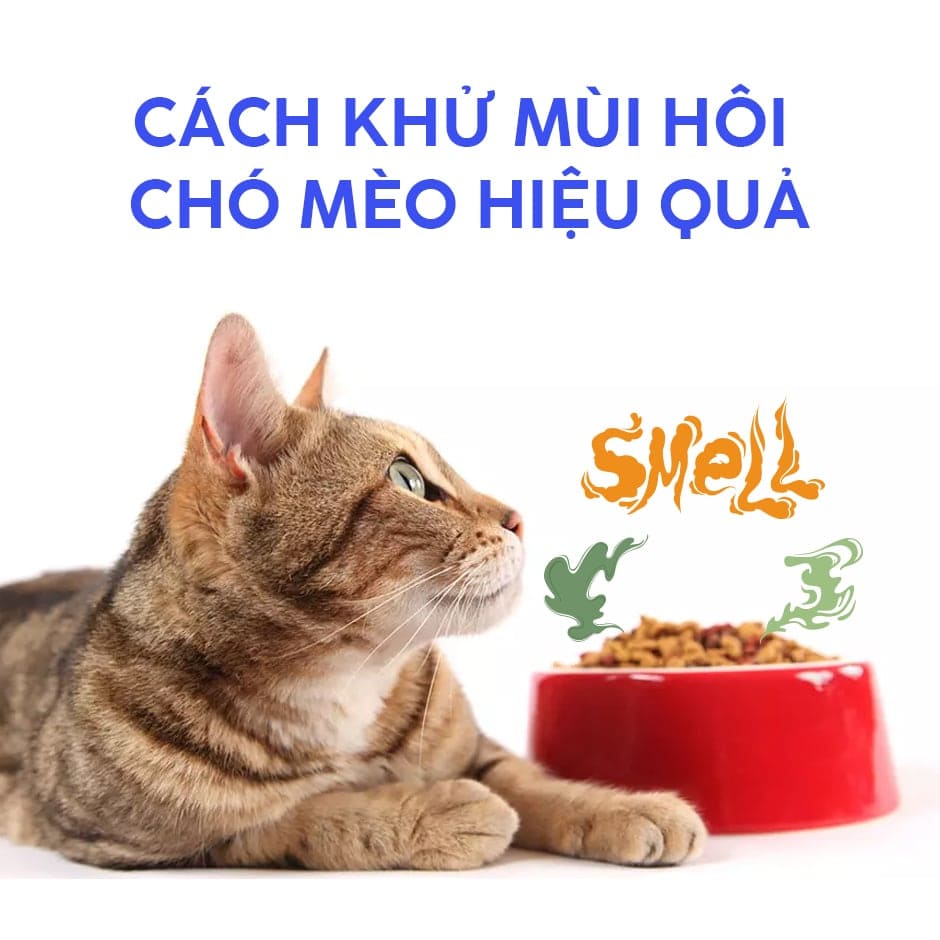 nuoc-lau-san-khu-mui-cho-meo-hieu-qua