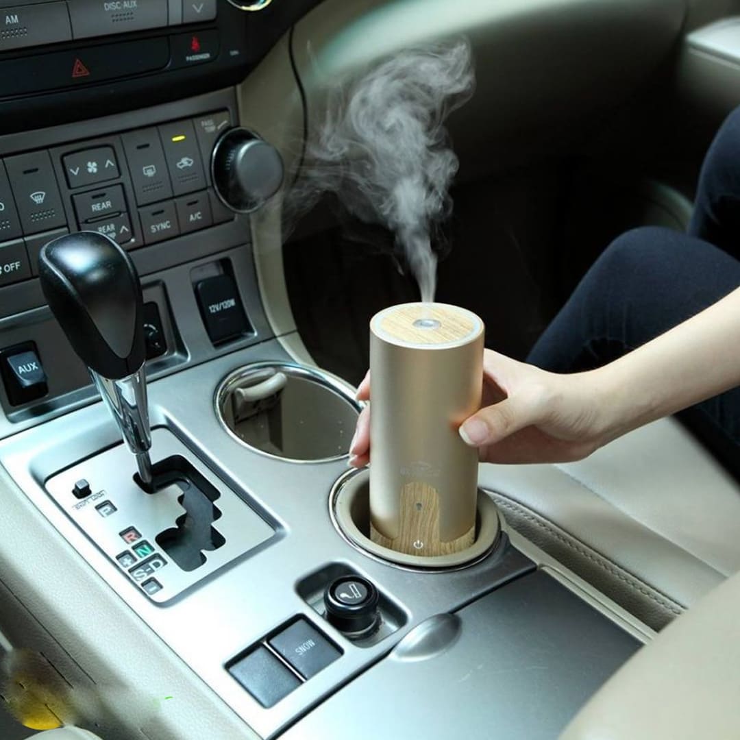 Những Loại Tinh Dầu Khử Mùi Xe Ô Tô Hiệu Quả Và An Toàn