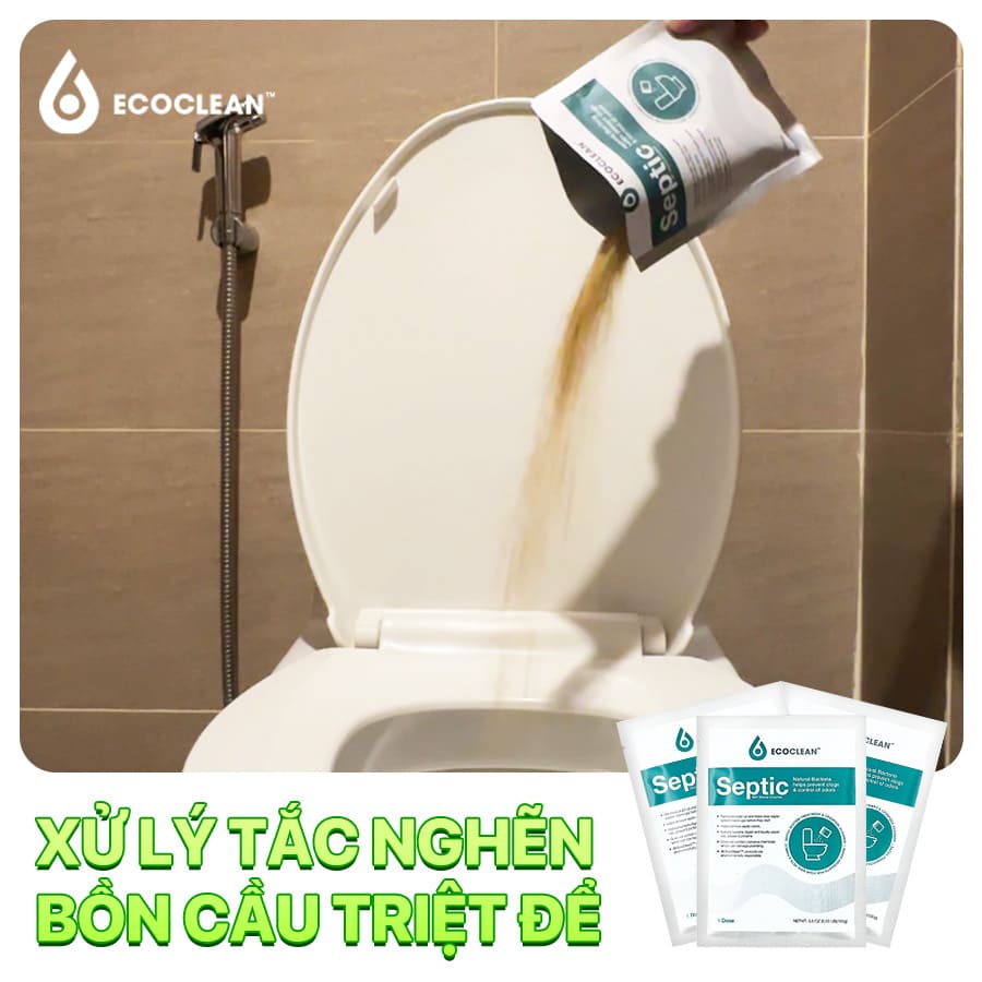 men vi sinh thong tac ham cau EcoClean Septic